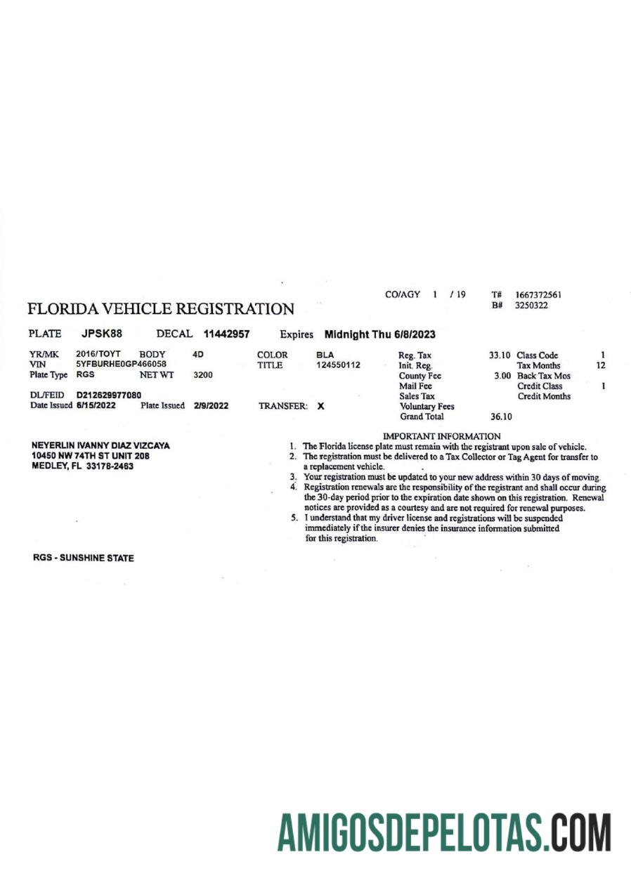 USA Florida Vehicle Registration License modelo